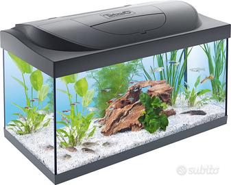 Acquario 100 lt