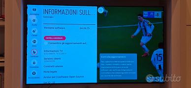 Tv oled lg 55 pollici  EG9A7V