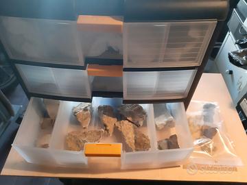 AMPIA Collezione di minerali e fossili, anche ORO