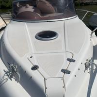 Barca cabinato motore fuoribordo