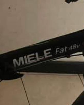 bici elettrica 