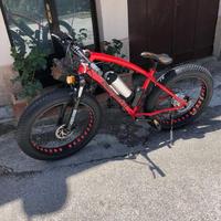 Fat bike assistita