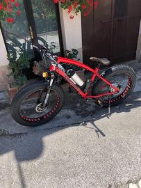 Fat bike assistita