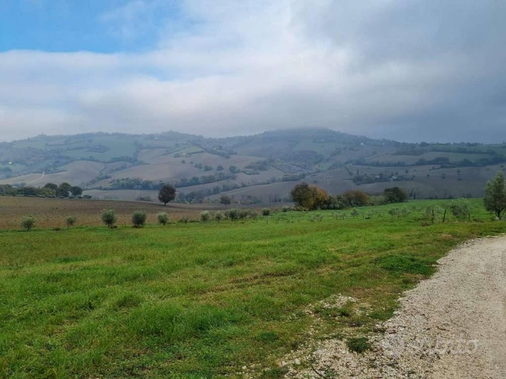 Terreno di 280 m² a Polverigi - Vista 4