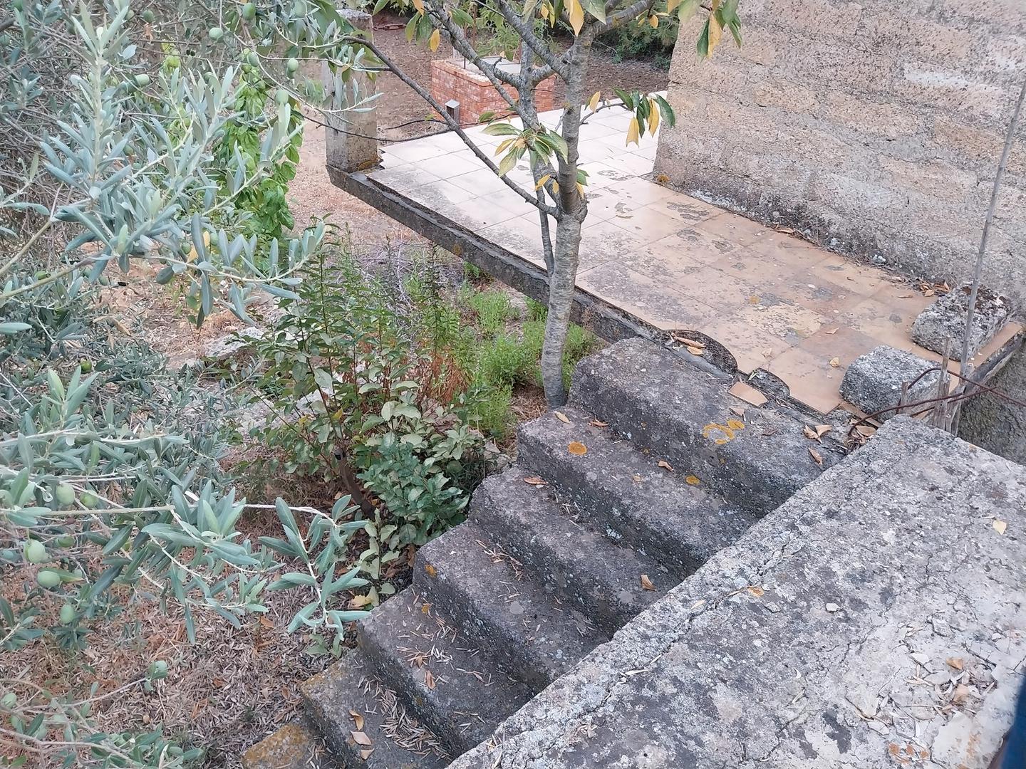 Terreno ss 124 con immobile 2 piani - Vista 3
