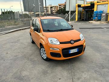 Fiat Panda, unico propr , 2019
