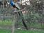 Immagine 5
