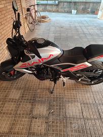 moto nuova swm