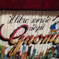 il libro segreto degli gnomi 