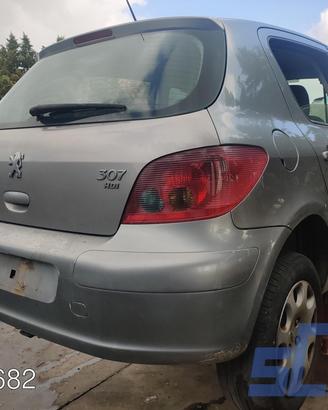 PEUGEOT 307 3A/C 1.4 HDI 68CV 01-05 - Ricambi