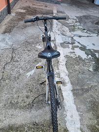 bici mountain bike 