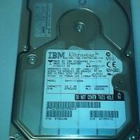 2 Hard Disk 18.2 GByte 10000rpm SCSI 80pin