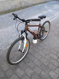 Mountain Bike - Ragazzo