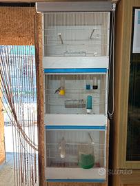 Gabbie / batterie/ voliere