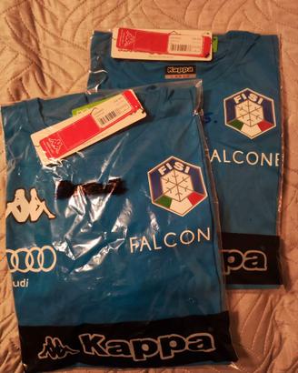 T-Shirts e Polo FISI
