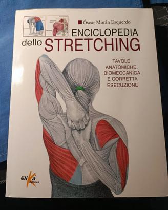 Enciclopedia dello stretching