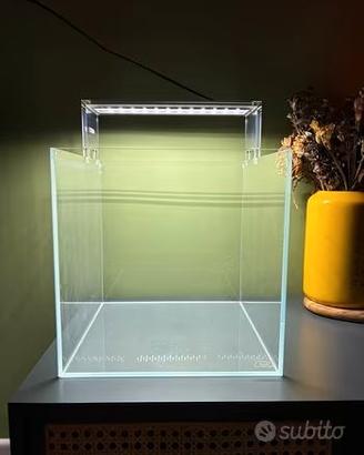 Acquario ADA 30x30 e lampada AQPET policarbonato