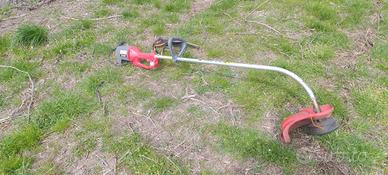 decespugliatore tagliabordi