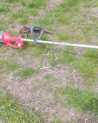 decespugliatore tagliabordi