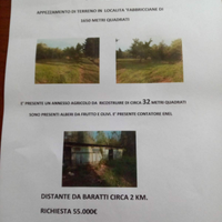 Terreno agricolo con annesso
