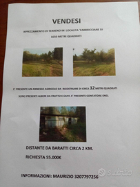Terreno agricolo con annesso