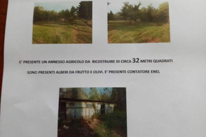 Terreno agricolo con annesso