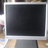 Monitor  lcd  19   pollici 
