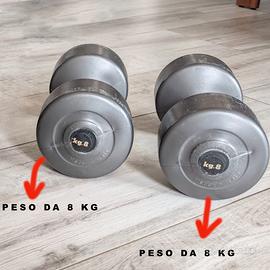 Pesi da palestra: 2 pesi da 8kg