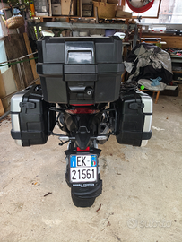 Perfetta disponibile subito