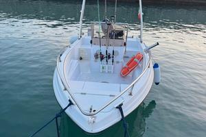 Barca Open Gobbi 4.80 motore 40 CV