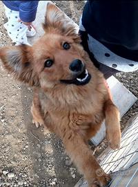 Nuova famiglia per Gioia