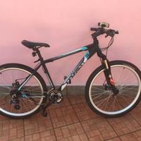Bicicletta da corsa, taglia XL