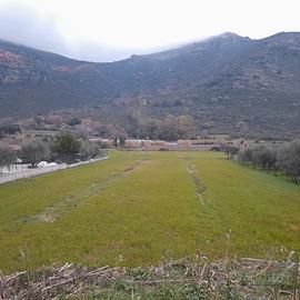 Vendita terreno agricolo