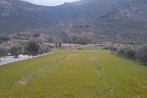 Vendita terreno agricolo