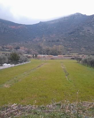 Vendita terreno agricolo