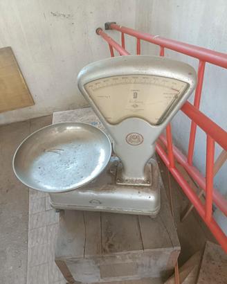Bilancia vintage italiana Macchi Francesco anni 60