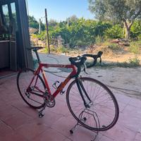 wilier escape bici corsa