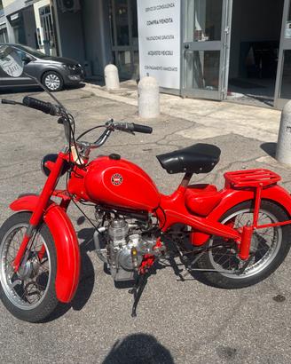 Motom 48 del 1962