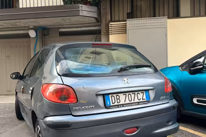 Pegeout 206