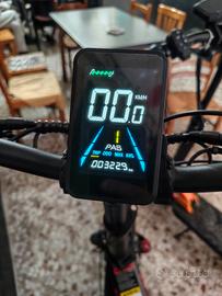 bici elettrica t5 250/750w