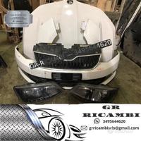 Musata skoda fabia anno 2018