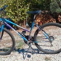 Bicicletta 15 euro
