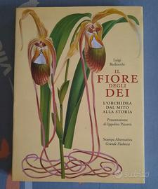 Libro Il fiore degli dei (orchidee)