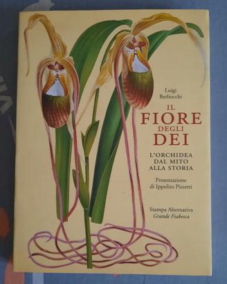 Libro Il fiore degli dei (orchidee)