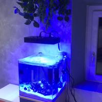 Acquario marino completo