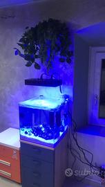 Acquario marino completo