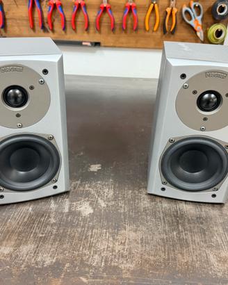 Casse audio magnat vector needle 11