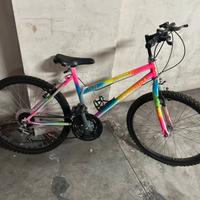Bicicletta
