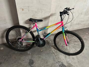Bicicletta