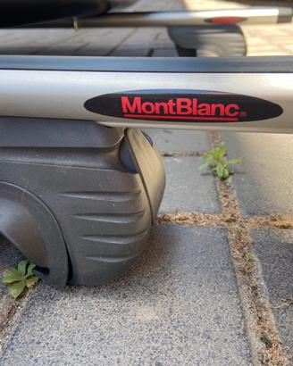 Baule tetto e Barre portatutto
